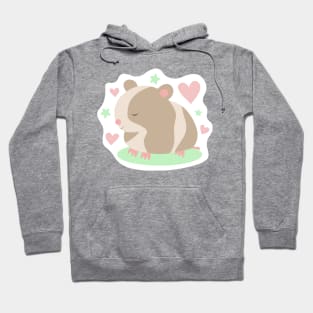 Sleepy Hamster Hoodie